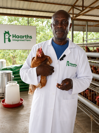 Poultry farm setup and equipment installation