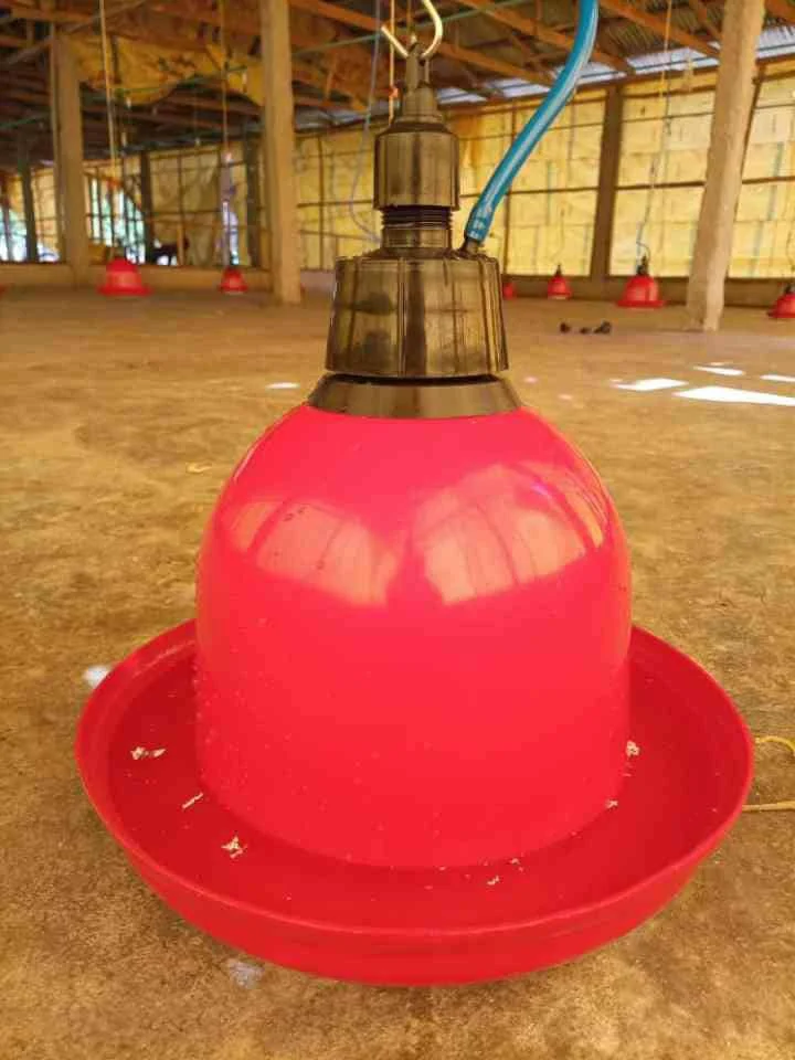 Automatic Bell Drinker