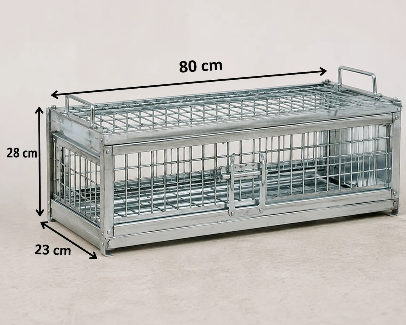 Birds Transfer Cages